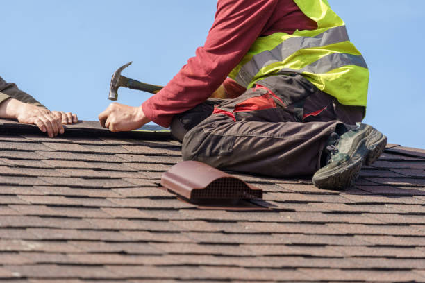 Best Roof Gutter Cleaning  in Salineville, OH