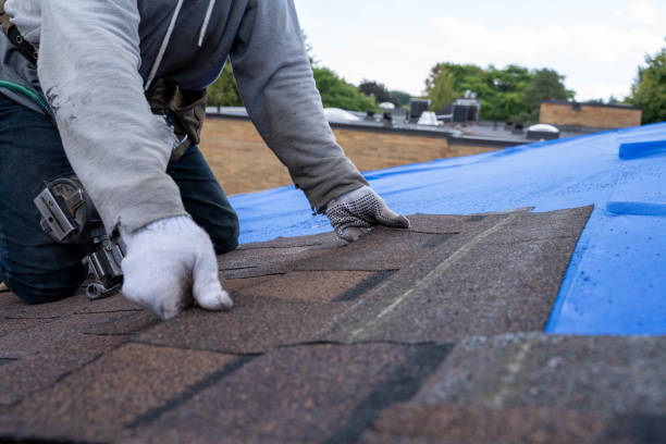 Best Roof Maintenance Services  in Salineville, OH