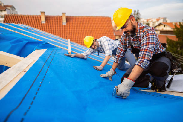 Best Storm Damage Roof Repair  in Salineville, OH